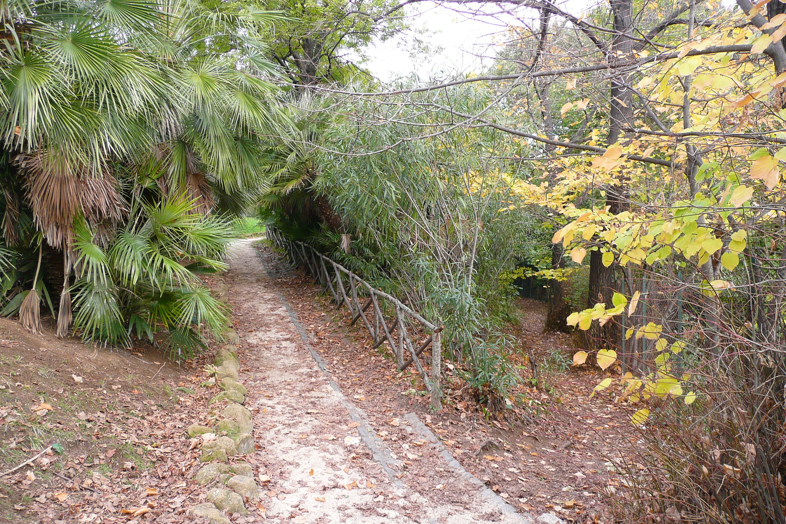 照片 意大利(Italy) 罗马(Rome) 夏拉别墅公园(Villa Sciarra) 2007-11 42