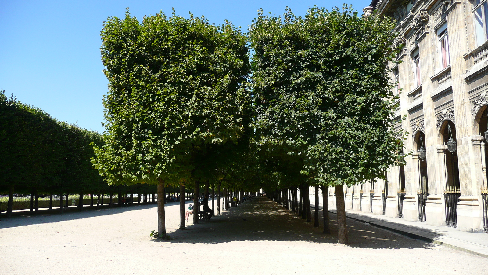 照片 法国(France) 巴黎(Paris) 皇家宫殿(Palais Royal) 2007-08 27
