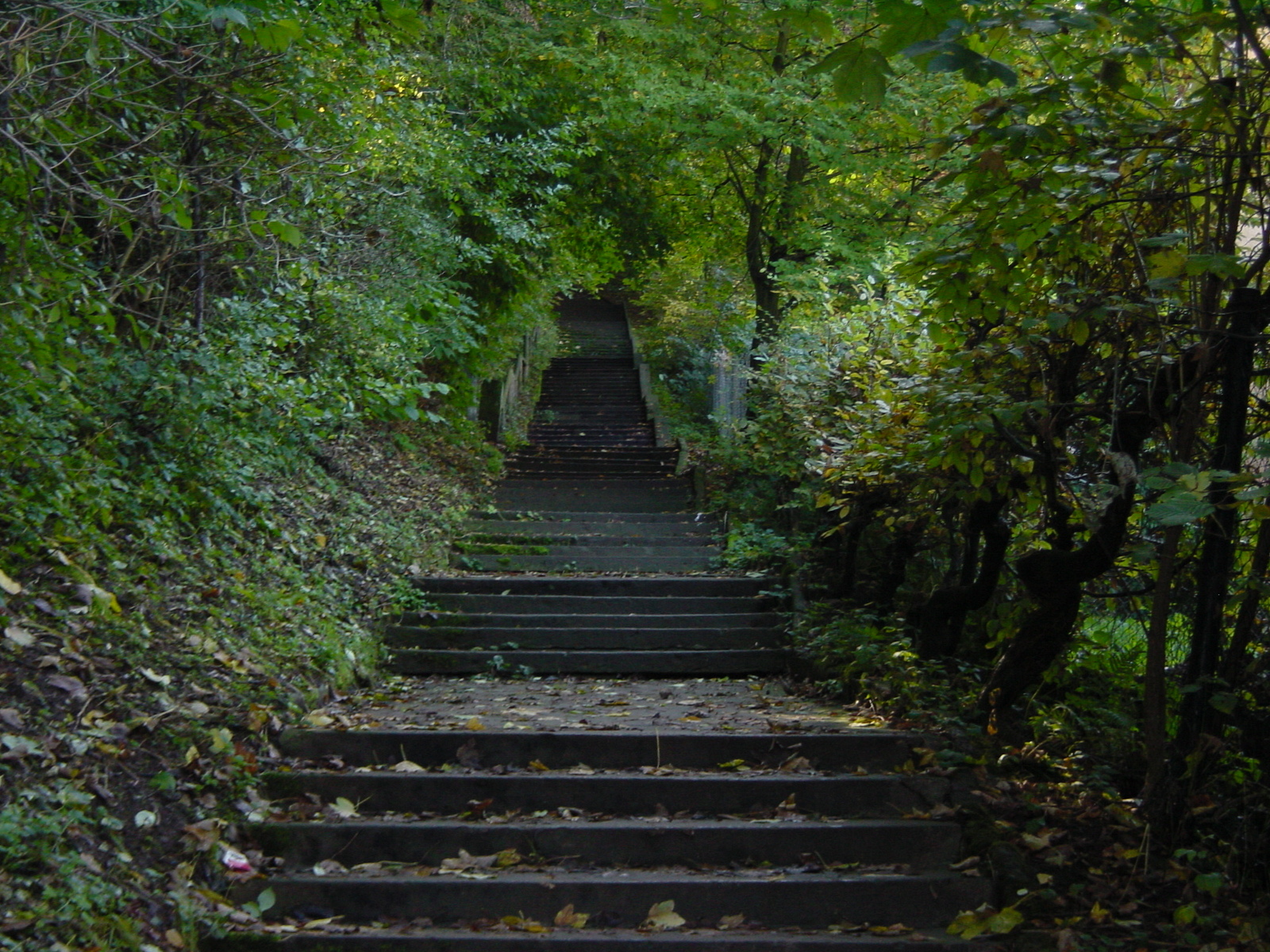照片 德国(Germany) 图宾根(Tubingen) 2001-10 38