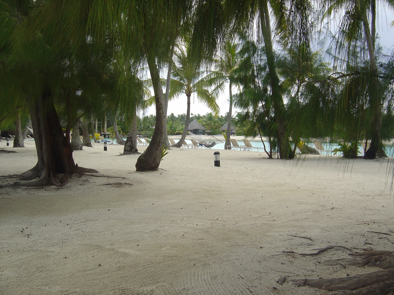 照片 波利尼西亚(Polynesia) 波拉波拉艾美酒店(Meridien Bora Bora Hotel) 2006-04 156