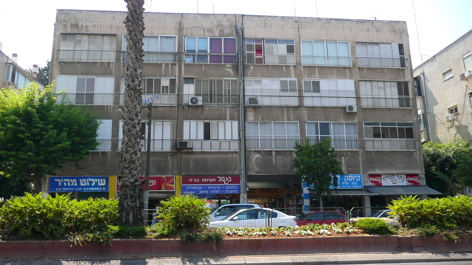 照片 以色列(Israel) 特拉维夫(Tel Aviv) 伊本·加比罗尔街(Ibn Gvirol Street) 2007-06 64