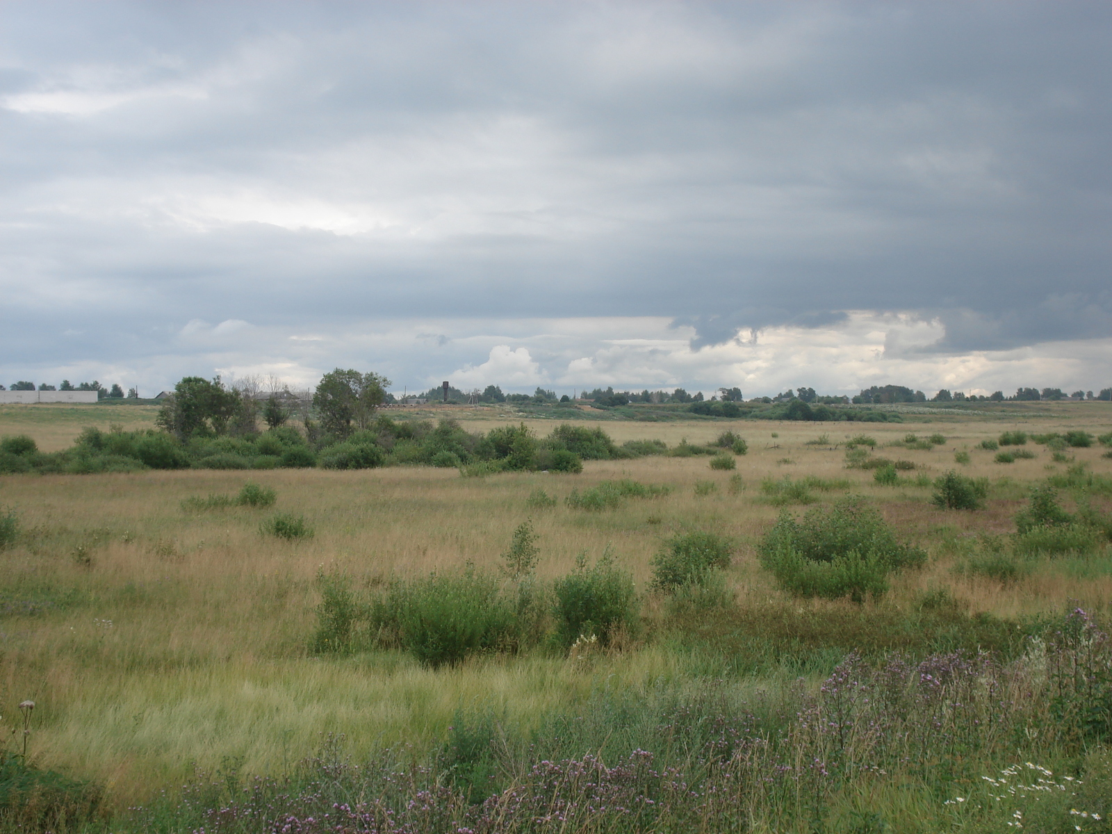 照片 俄罗斯(Russia) 雅罗斯拉夫尔至圣彼得堡(From Yaroslavl to St Petersburg) 2006-07 53