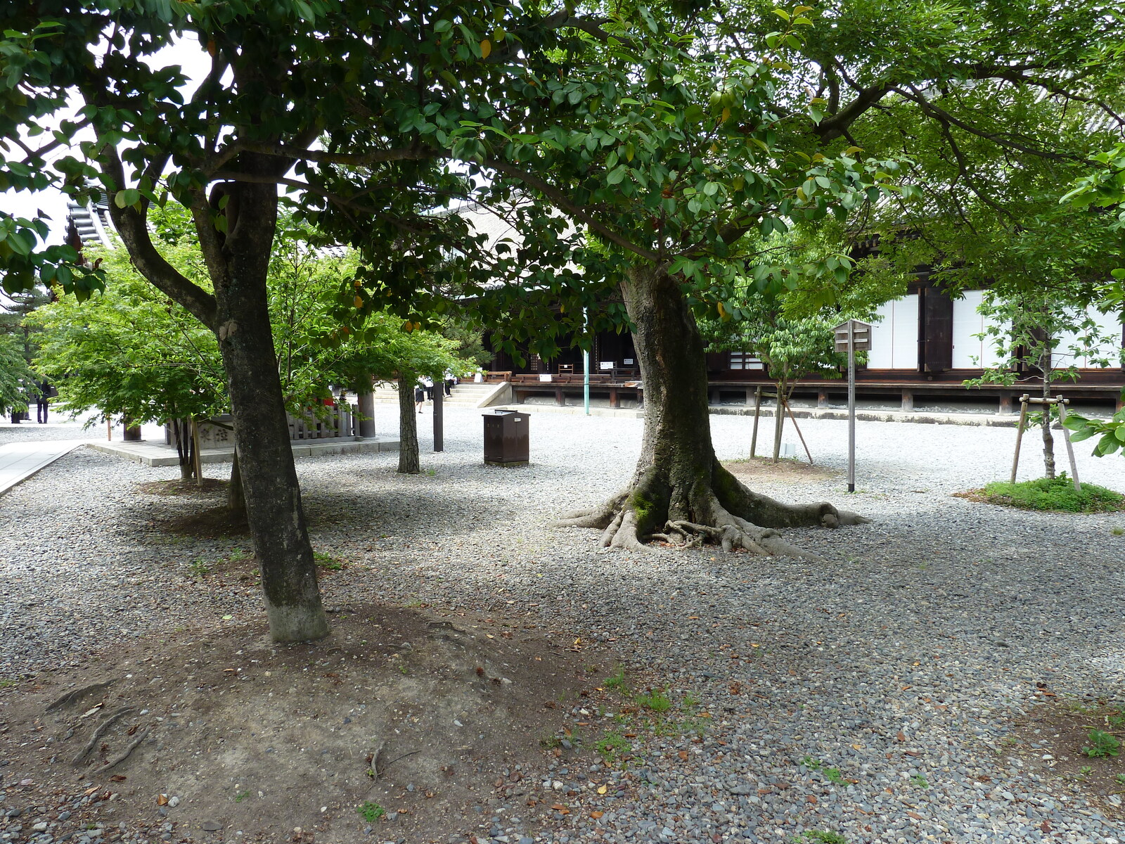 照片 日本(Japan) 京都(Kyoto) 三十三间堂(Sanjusangendo temple) 2010-06 36