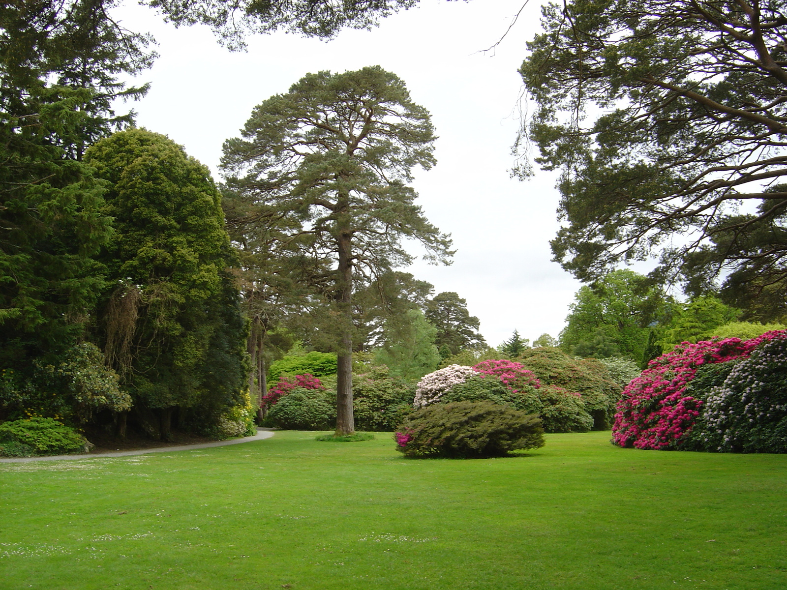 照片 爱尔兰(Ireland) 凯里郡(Kerry) 基拉尼国家公园(Killarney National Park) 马克罗斯庄园(Muckross House) 2004-05 40