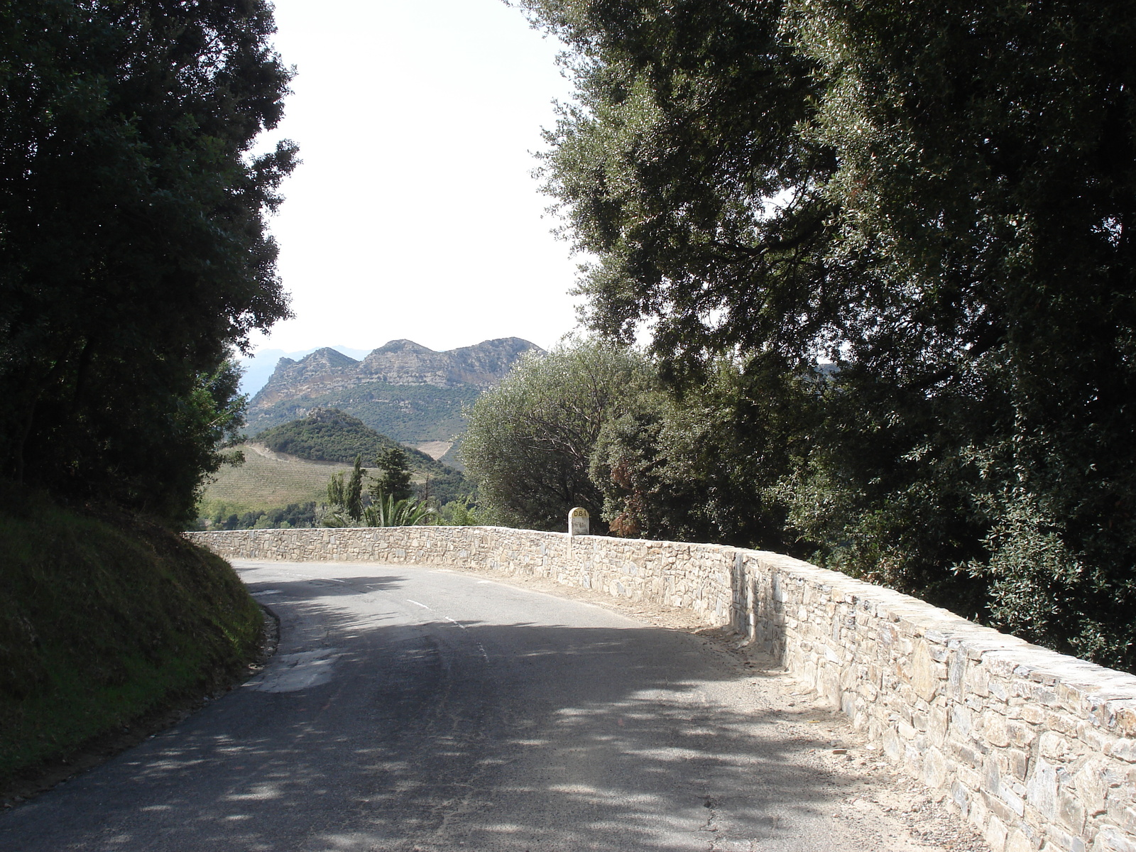 照片 法国(France) 科西嘉岛(Corsica) 巴斯蒂亚至圣弗洛朗公路(Bastia to Saint Florent Road) 2006-09 37