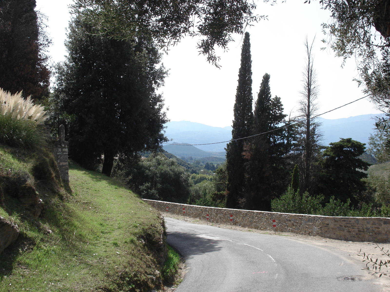 照片 法国(France) 科西嘉岛(Corsica) 巴斯蒂亚至圣弗洛朗公路(Bastia to Saint Florent Road) 2006-09 10