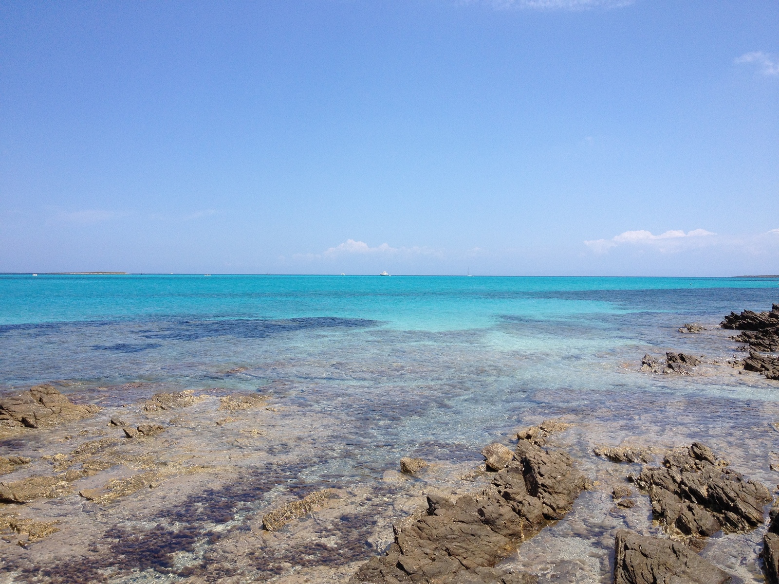 照片 意大利(Italy) 撒丁岛(Sardinia) 猎鹰角(Capo del Falcone) 2015-06 1