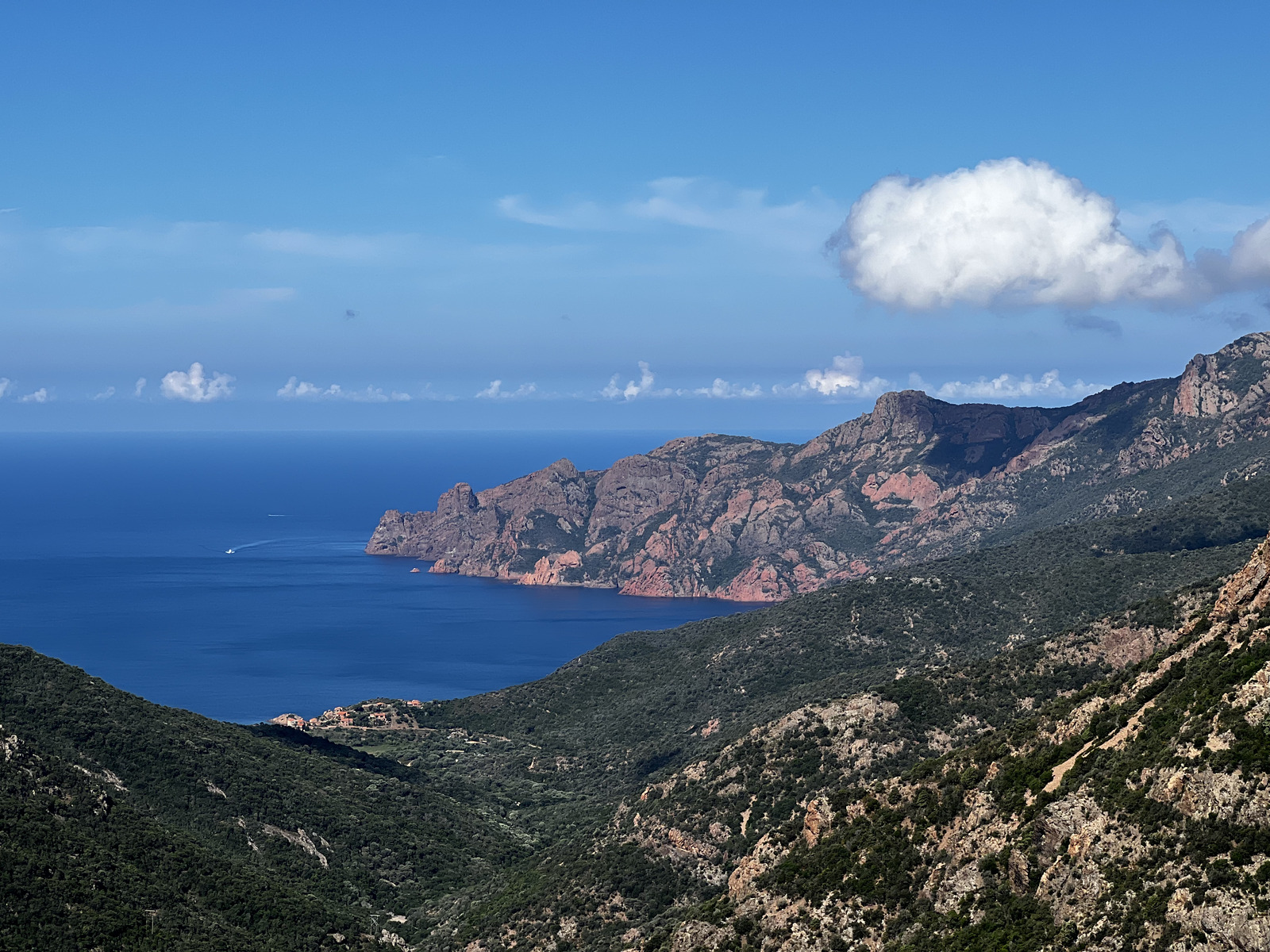 照片 法国(France) 科西嘉岛(Corsica) 波尔托(Porto) 2023-06 0