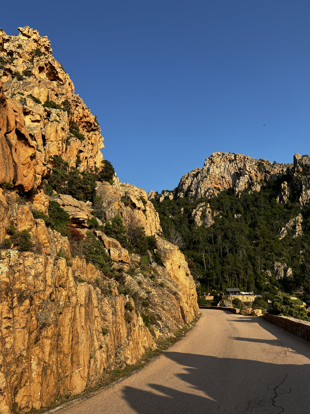 照片 法国(France) 科西嘉岛(Corsica) 皮亚纳峡湾(Calanques de Piana) 2023-06 41