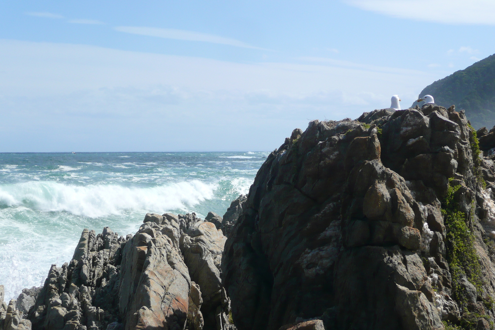 照片 南非(South Africa) 齐齐卡马国家公园(Tsitsikamma National Park) 2008-09 331
