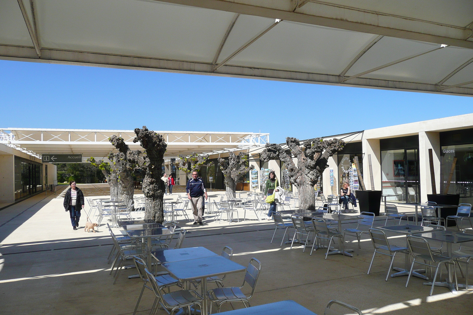照片 法国(France) 加尔桥(Pont du Gard) 2008-04 82