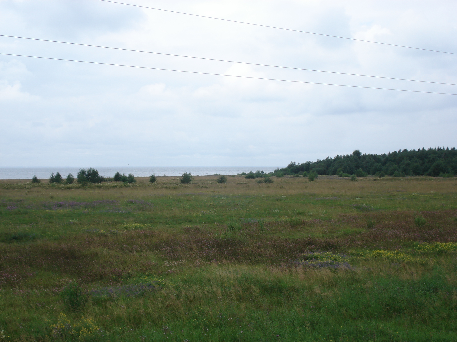 照片 俄罗斯(Russia) 雅罗斯拉夫尔至圣彼得堡(From Yaroslavl to St Petersburg) 2006-07 45