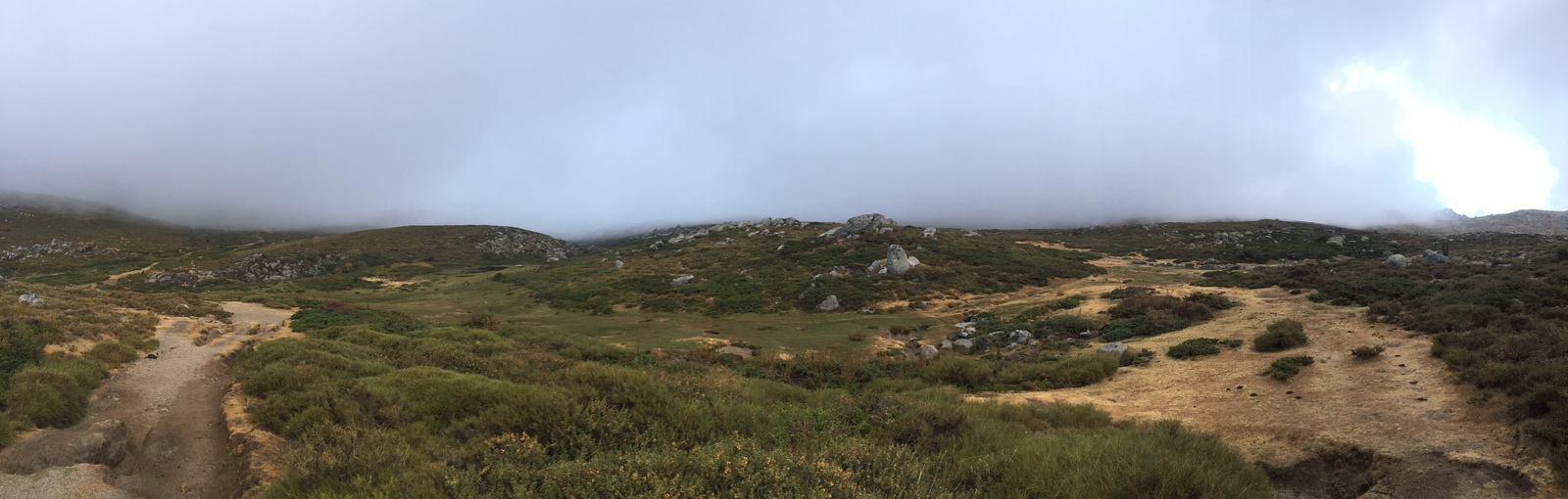 照片 法国(France) 科西嘉岛(Corsica) 阿尔塔罗卡(Alta Rocca) 2017-09 16