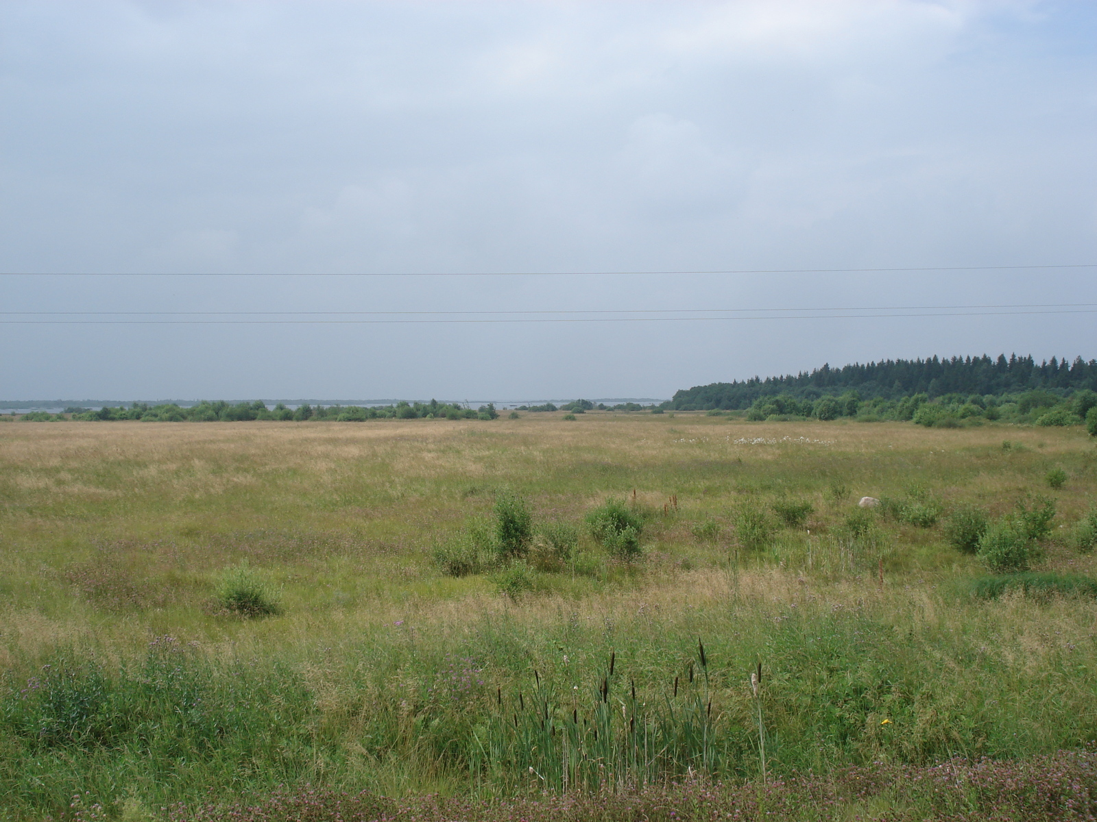 照片 俄罗斯(Russia) 雅罗斯拉夫尔至圣彼得堡(From Yaroslavl to St Petersburg) 2006-07 68