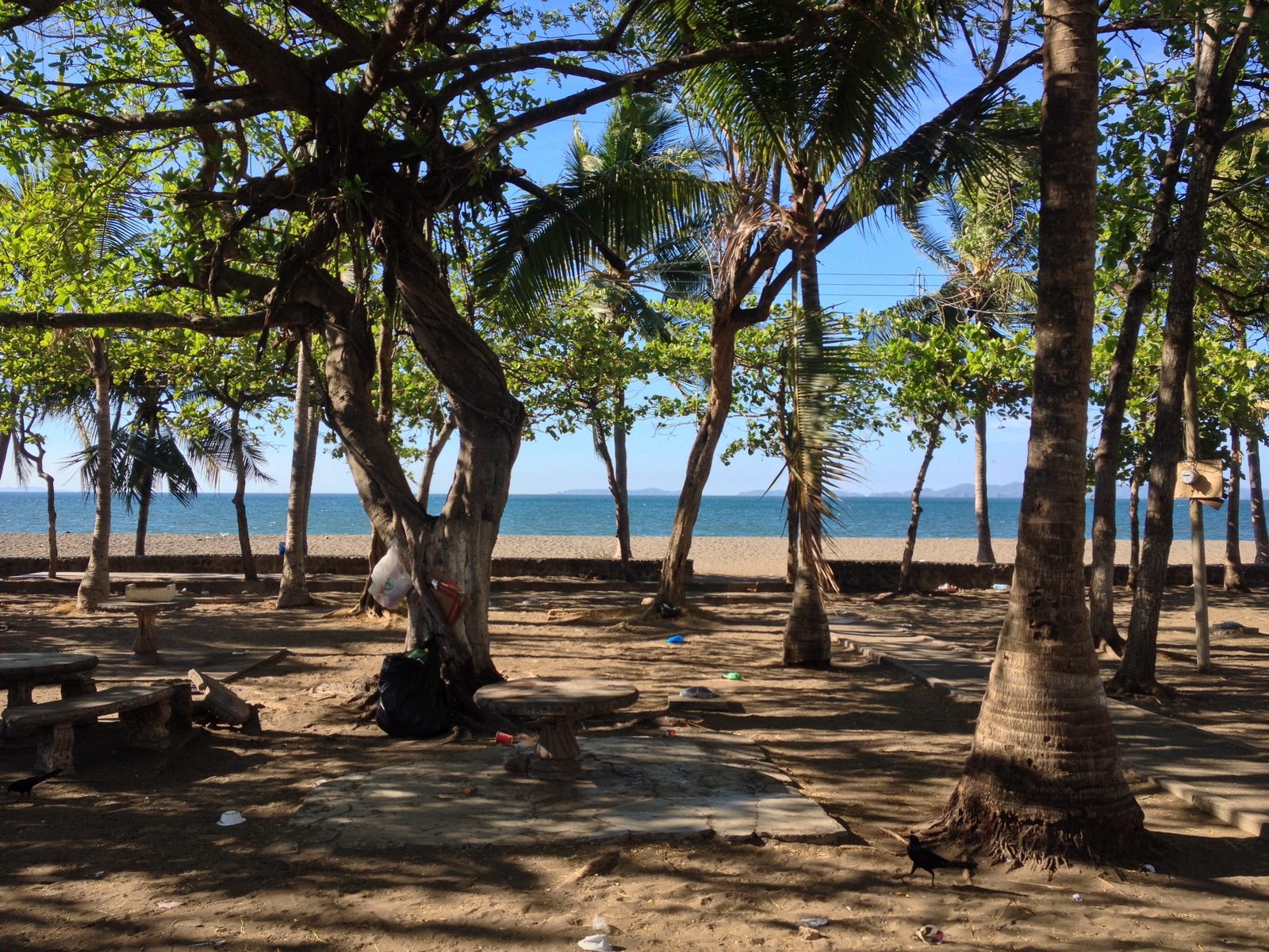 照片 哥斯达黎加(Costa Rica) 2015-03 90