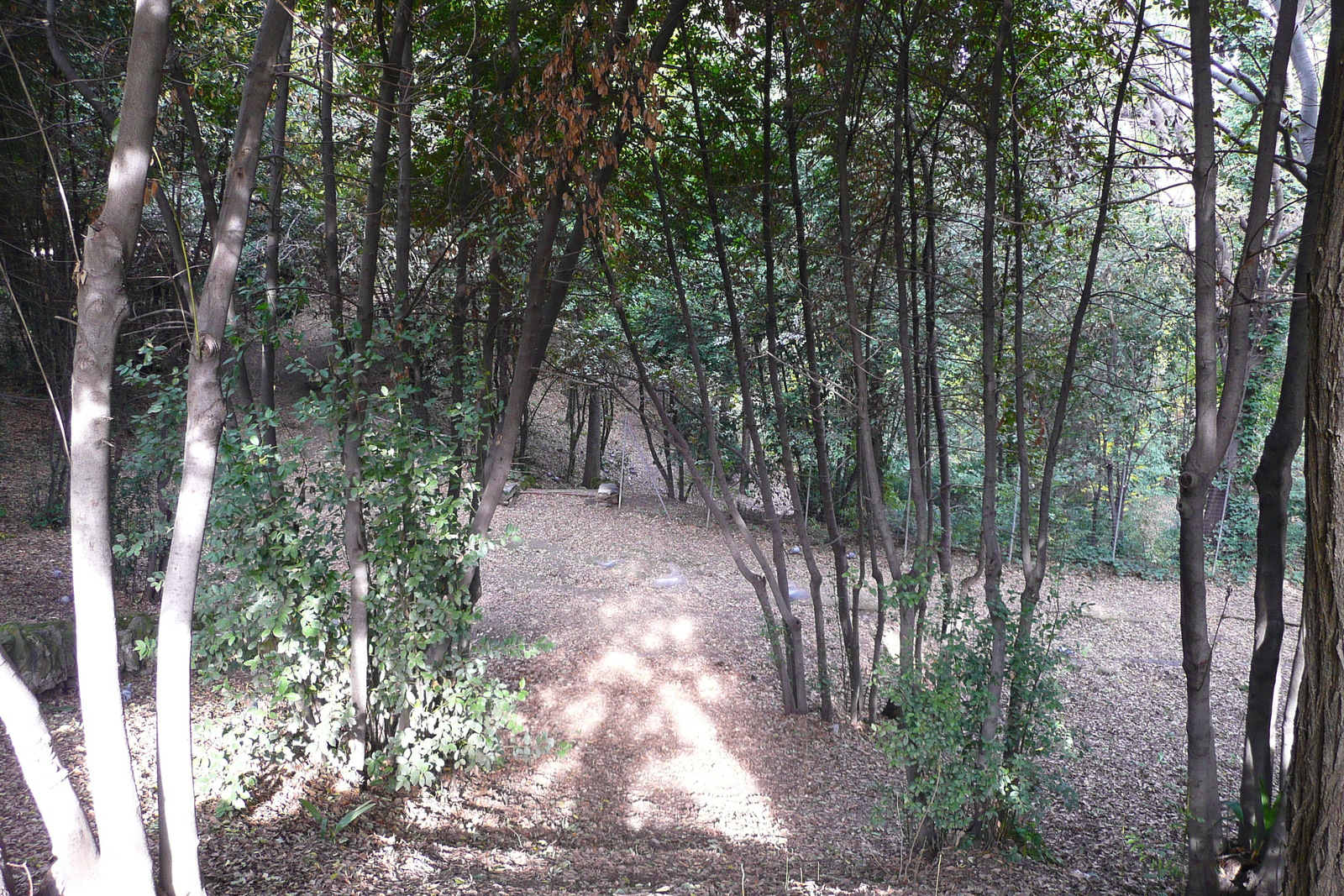 照片 意大利(Italy) 罗马(Rome) 夏拉别墅公园(Villa Sciarra) 2007-11 11