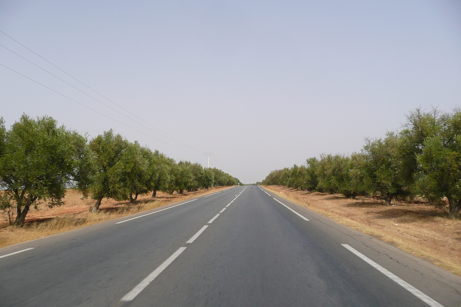 照片 摩洛哥(Morocco) 非斯至拉巴特公路(Fes to Rabat Road) 2008-07 30