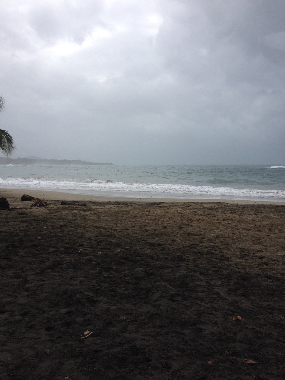 照片 哥斯达黎加(Costa Rica) 塔拉曼卡旧港(Puerto Viejo de Talamanca) 2015-03 64