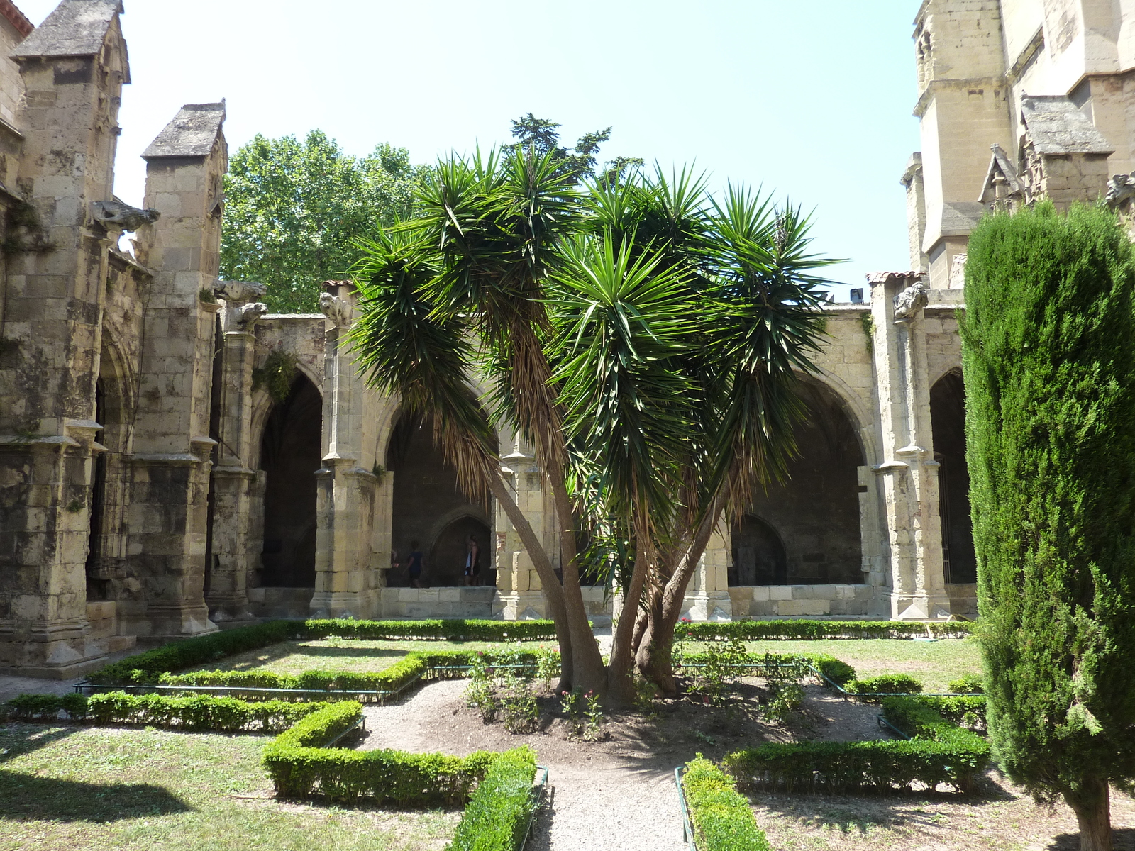 照片 法国(France) 纳博讷(Narbonne) 2009-07 118