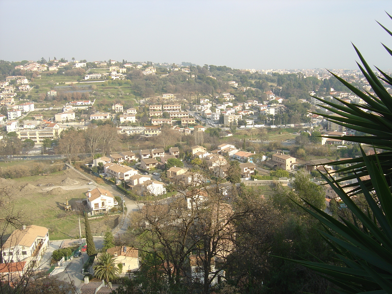 照片 法国(France) 上卡涅(Les Hauts de Cagnes) 2006-01 0