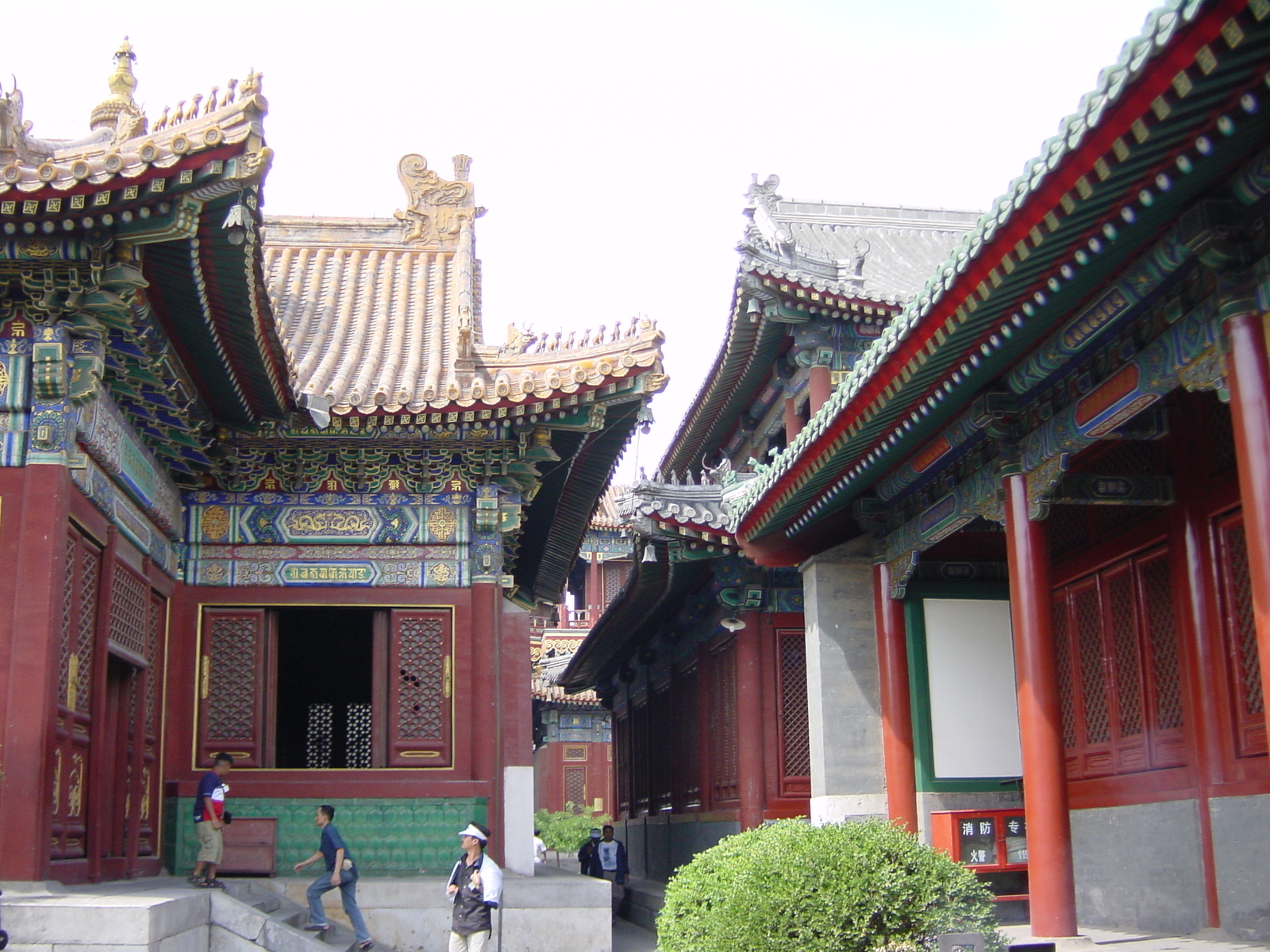 照片 中国(China) 北京(Beijing) 北海公园(Beihai Park) 2002-05 51