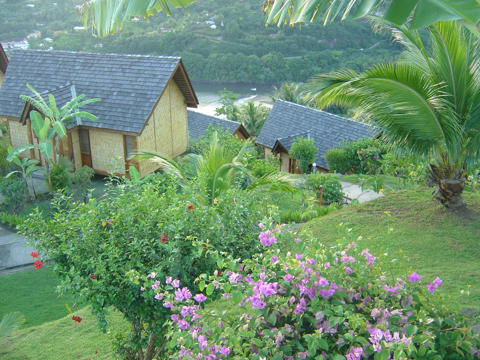 照片 波利尼西亚(Polynesia) 马克萨斯群岛(Marquises) 2006-04 40