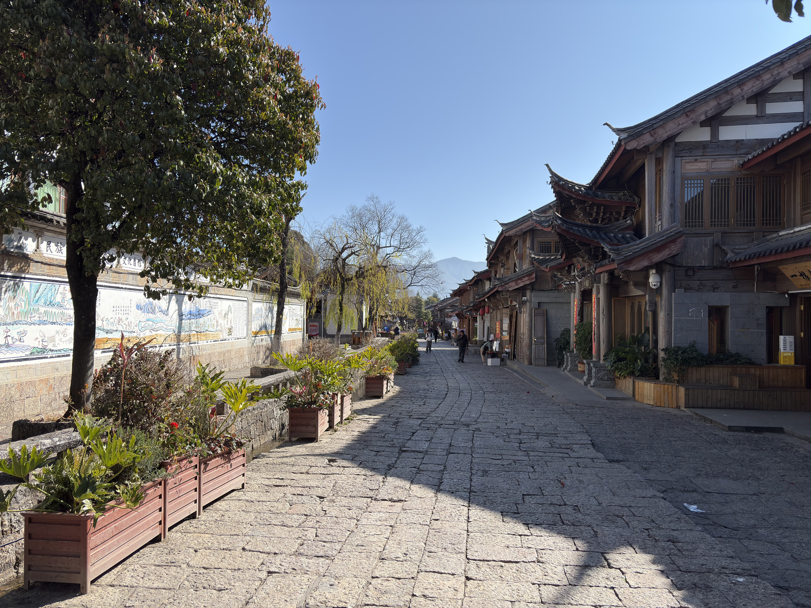 照片 中国(China) 丽江(Lijiang) 2026-01 453
