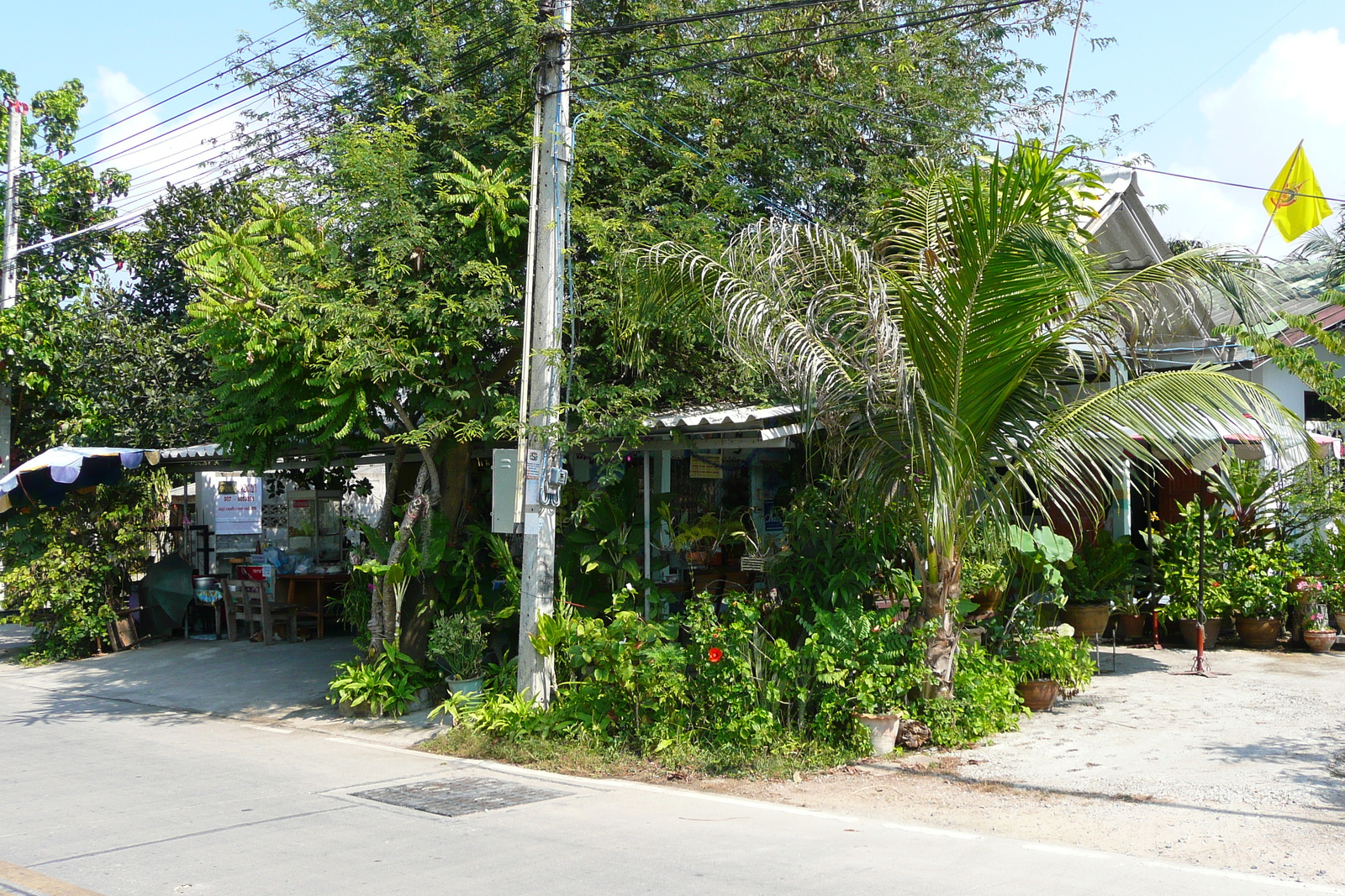 照片 泰国(Thailand) 宗甸(Jomtien) 汶甘乍纳4巷(Boonkanjana soi 4) 2008-01 28