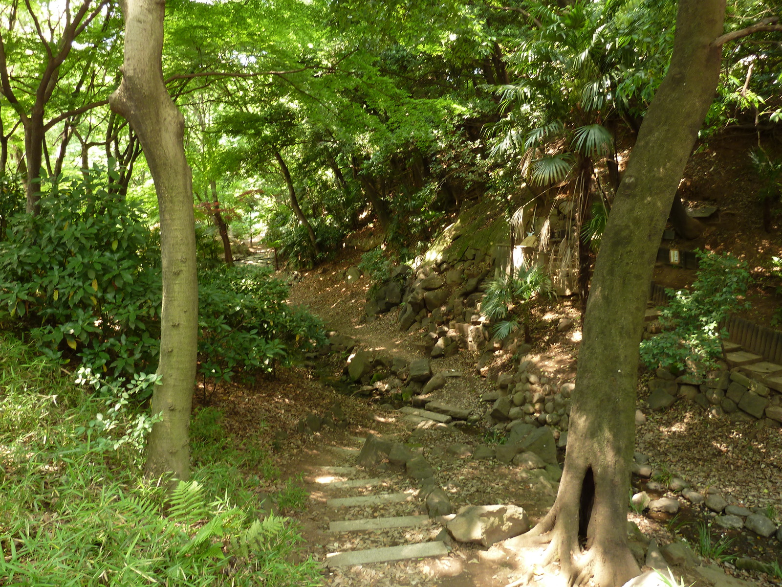 照片 日本(Japan) 东京(Tokyo) 芝公园(Shiba Park) 2010-06 2