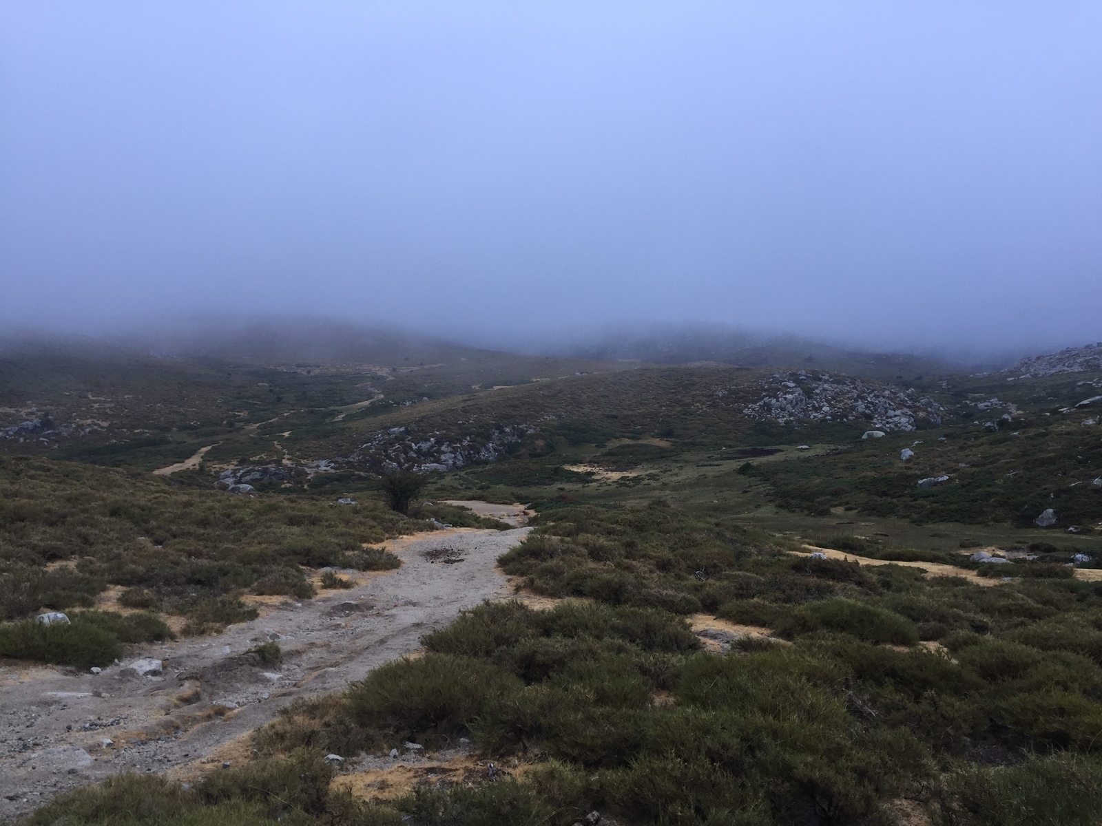照片 法国(France) 科西嘉岛(Corsica) 阿尔塔罗卡(Alta Rocca) 2017-09 7