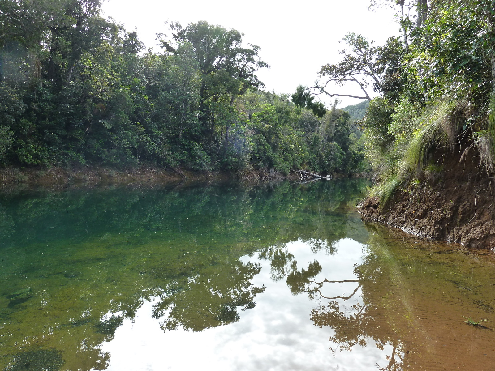 照片 新喀里多尼亚(New Caledonia) 蓝河公园(Parc de la Riviere Bleue) 2010-05 160