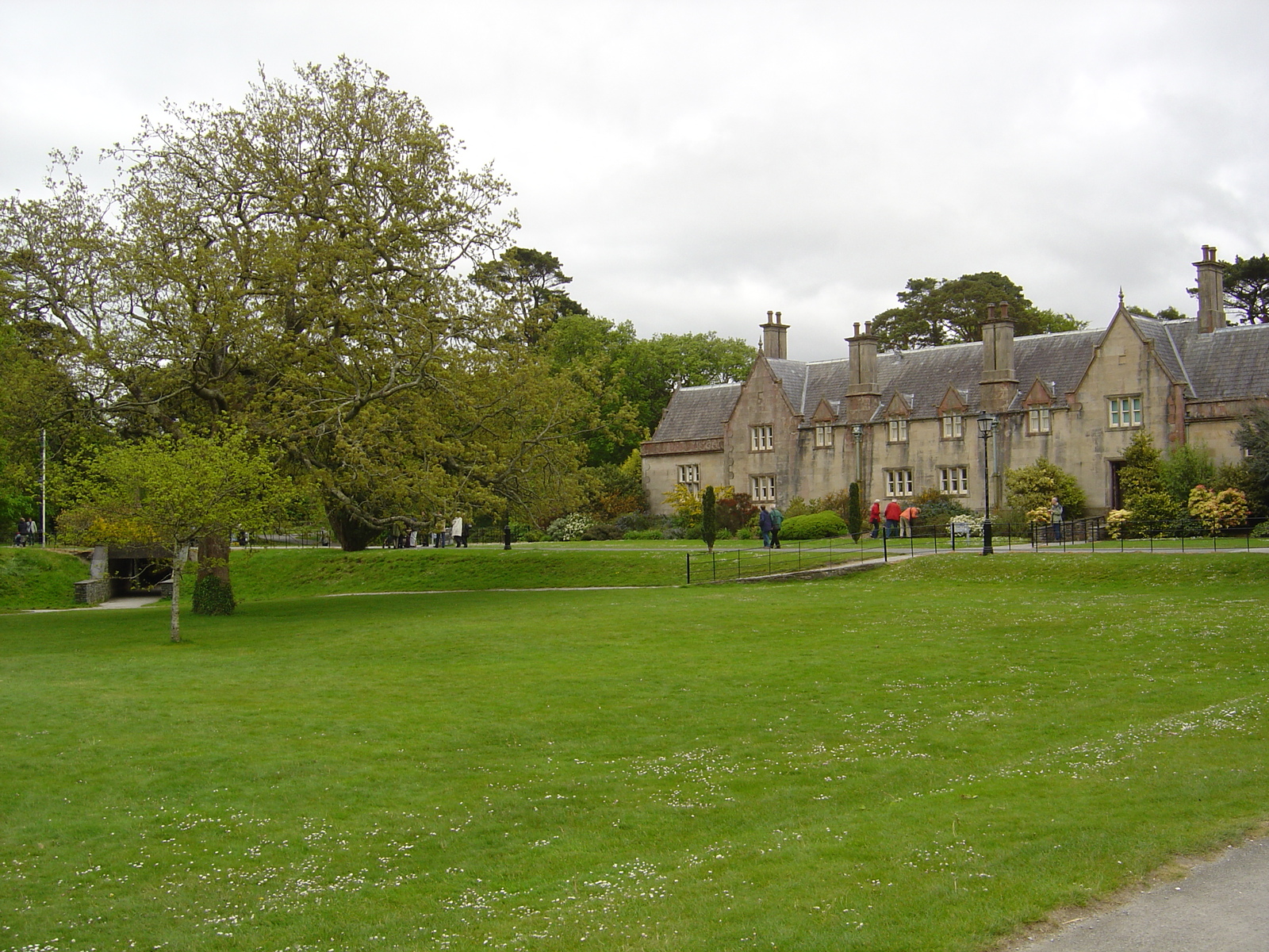 照片 爱尔兰(Ireland) 凯里郡(Kerry) 基拉尼国家公园(Killarney National Park) 马克罗斯庄园(Muckross House) 2004-05 31