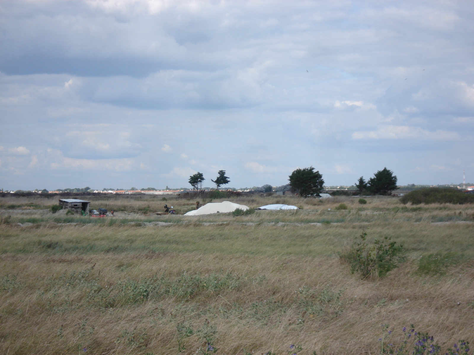 照片 法国(France) 努瓦尔穆捷(Noirmoutier) 2006-08 106