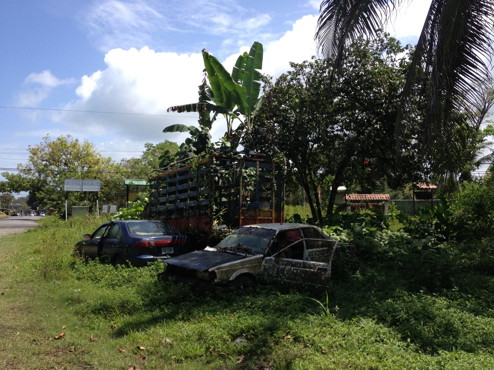 照片 哥斯达黎加(Costa Rica) 卡维塔(Cahuita) 2015-03 245
