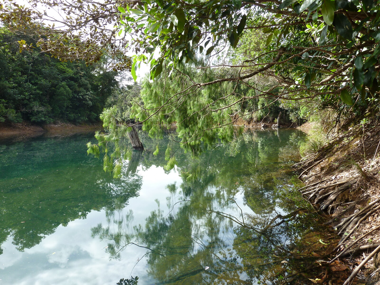 照片 新喀里多尼亚(New Caledonia) 2010-05 101