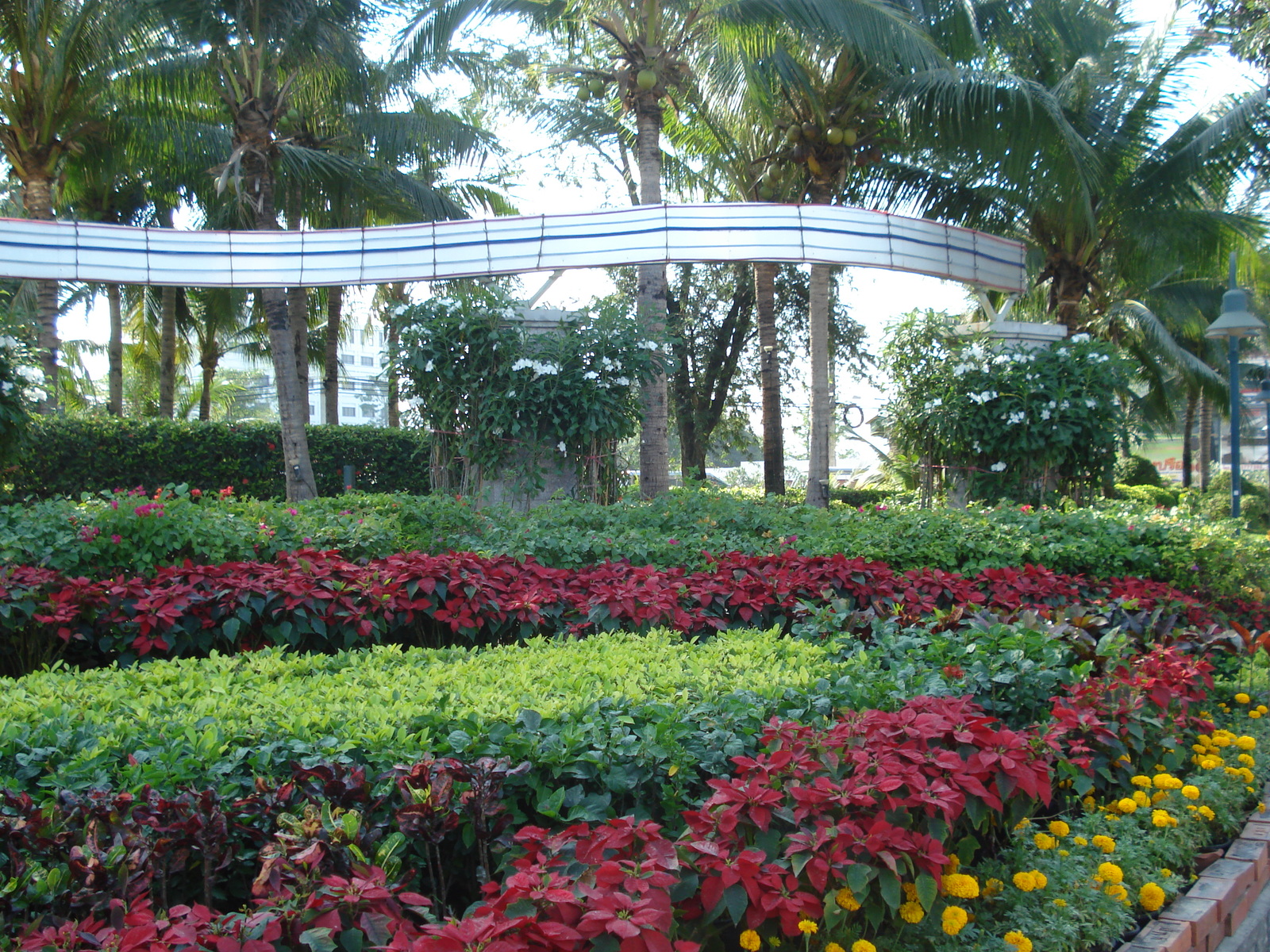 照片 泰国(Thailand) 芭提雅(Pattaya) 芭提雅中路(Pattaya Klang) 2008-01 46