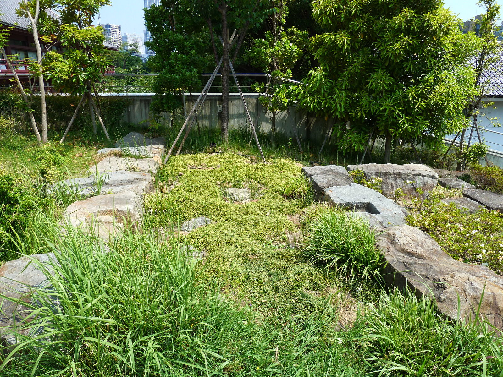 照片 日本(Japan) 东京(Tokyo) 芝公园(Shiba Park) 2010-06 3