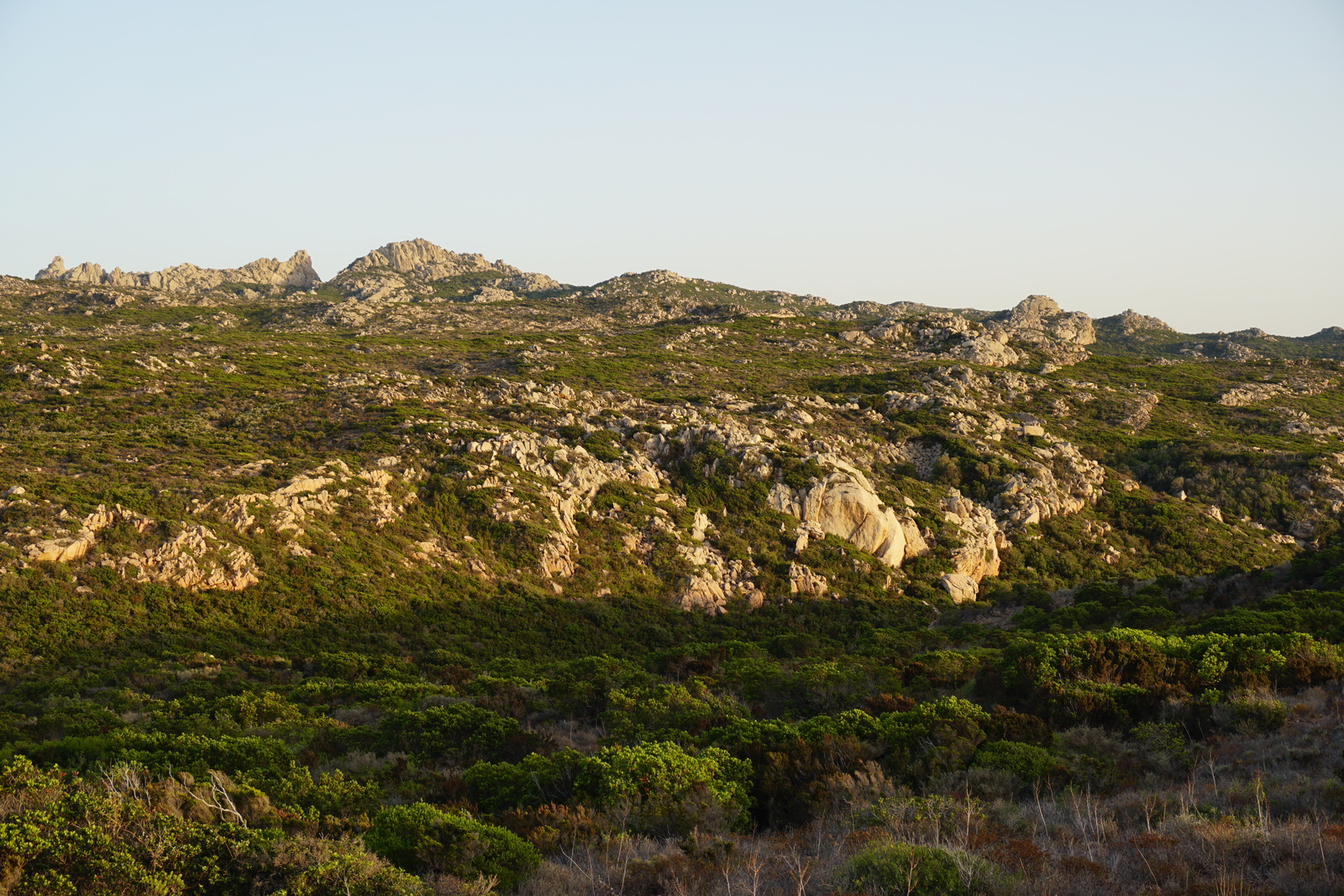 照片 法国(France) 科西嘉岛(Corsica) 通纳拉海滩(Tonnara Beach) 2017-07 19