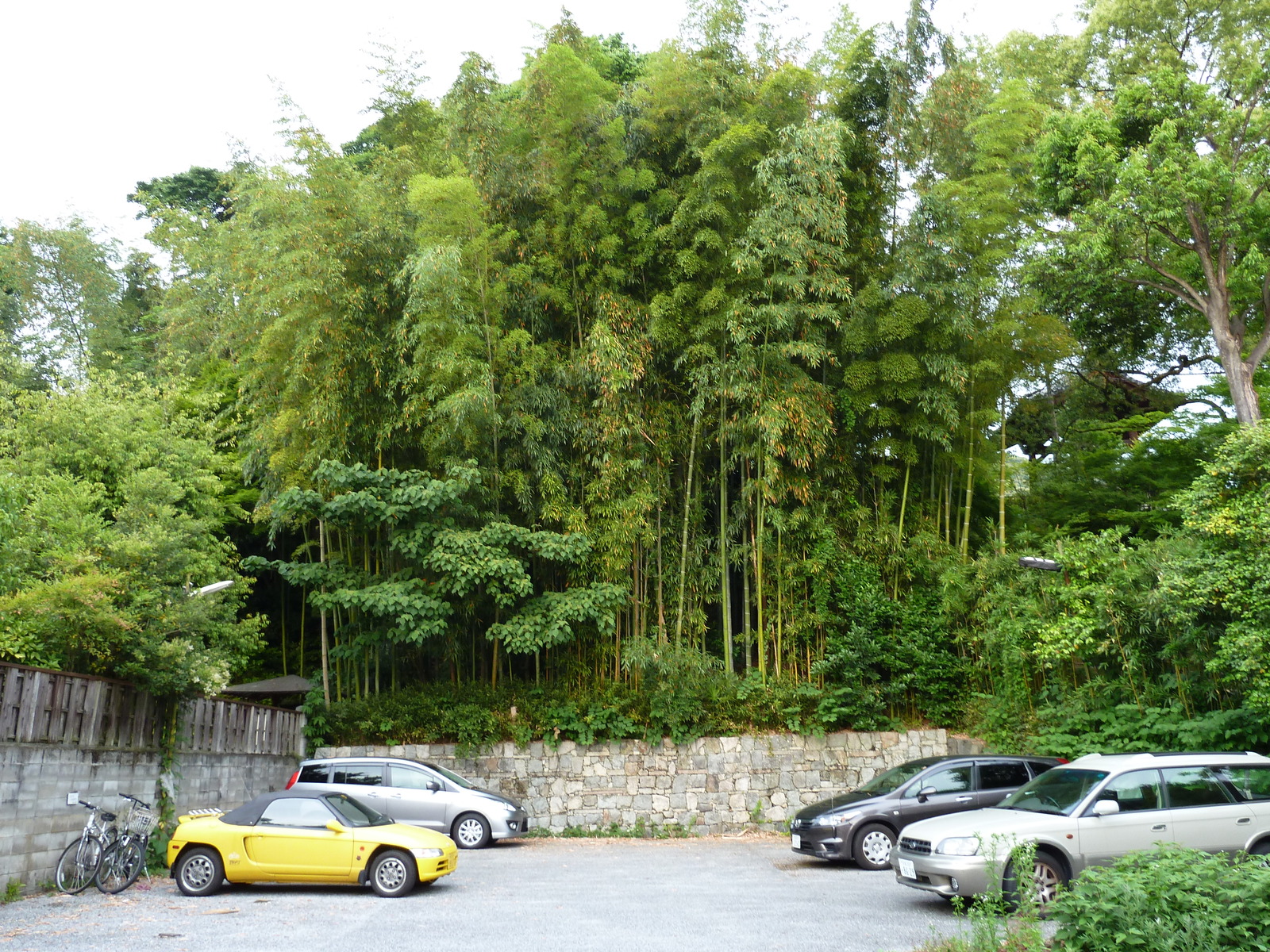 照片 日本(Japan) 京都(Kyoto) 二年坂(Ninenzaka) 2010-06 20