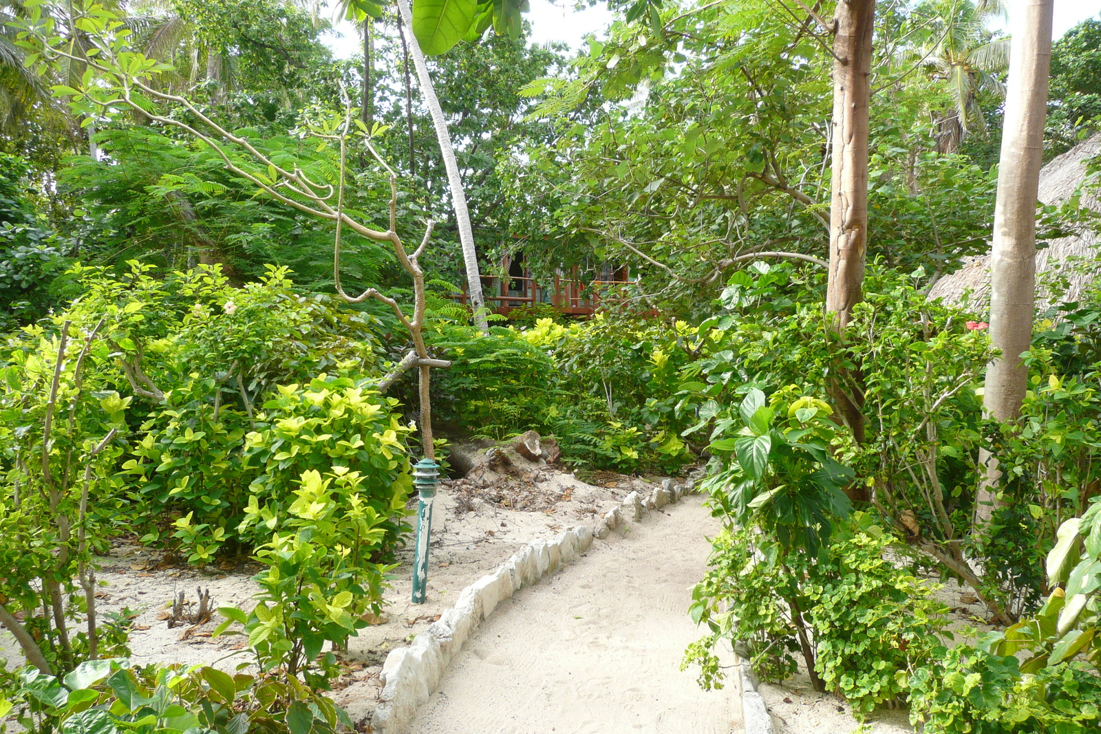 照片 斐济(Fiji) 海滩寻宝者岛(Beachcomber Island) 2010-05 27