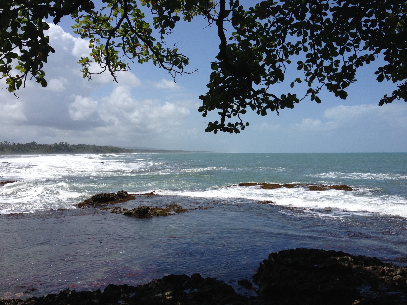 照片 哥斯达黎加(Costa Rica) 卡维塔(Cahuita) 2015-03 72