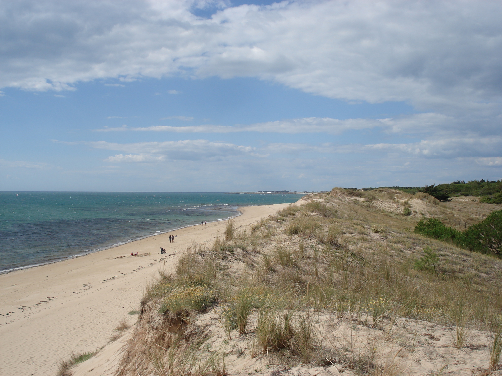 照片 法国(France) 努瓦尔穆捷(Noirmoutier) 2006-08 1