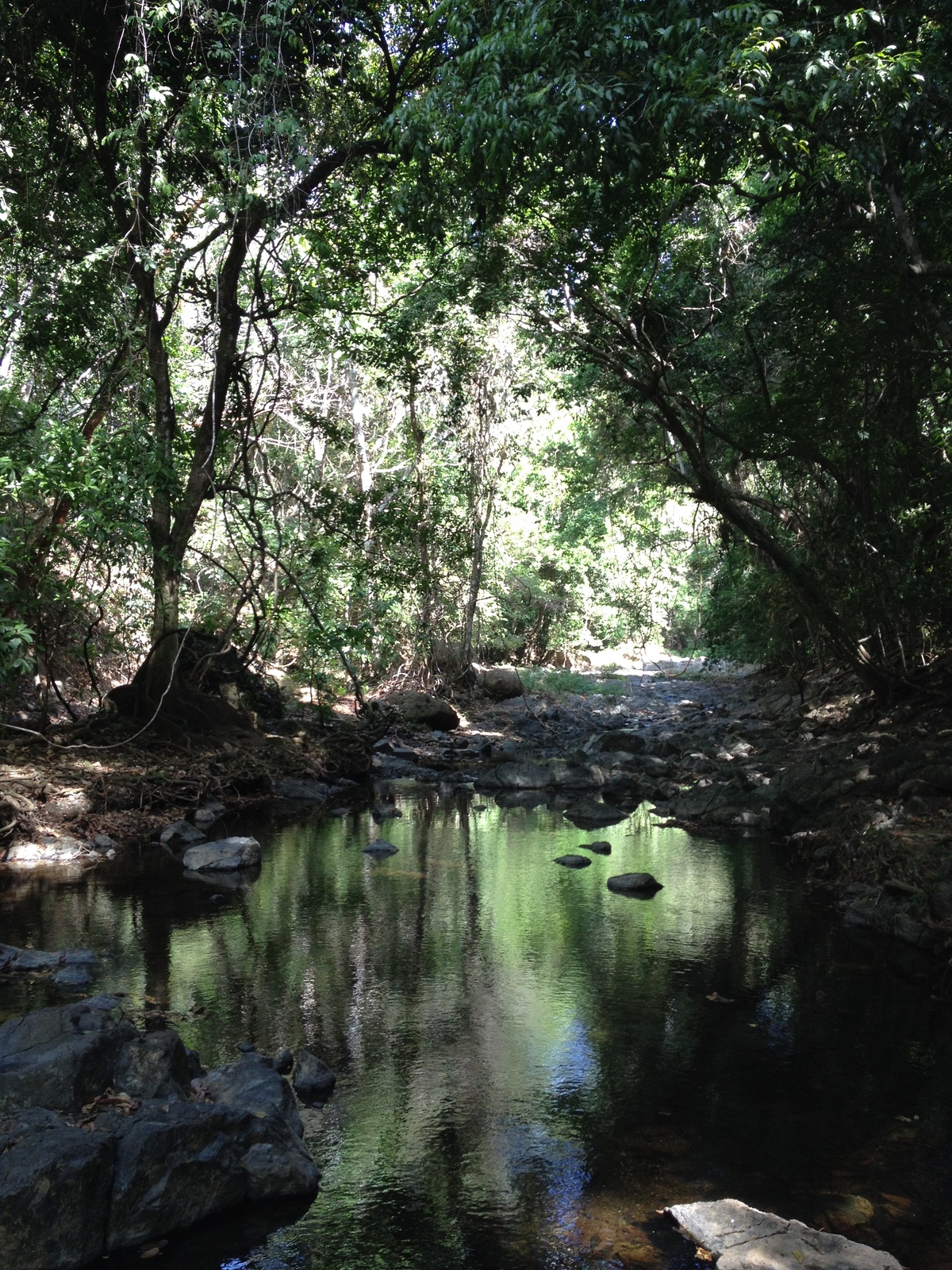 照片 哥斯达黎加(Costa Rica) 蒙特苏马(Montezuma) 2015-03 234