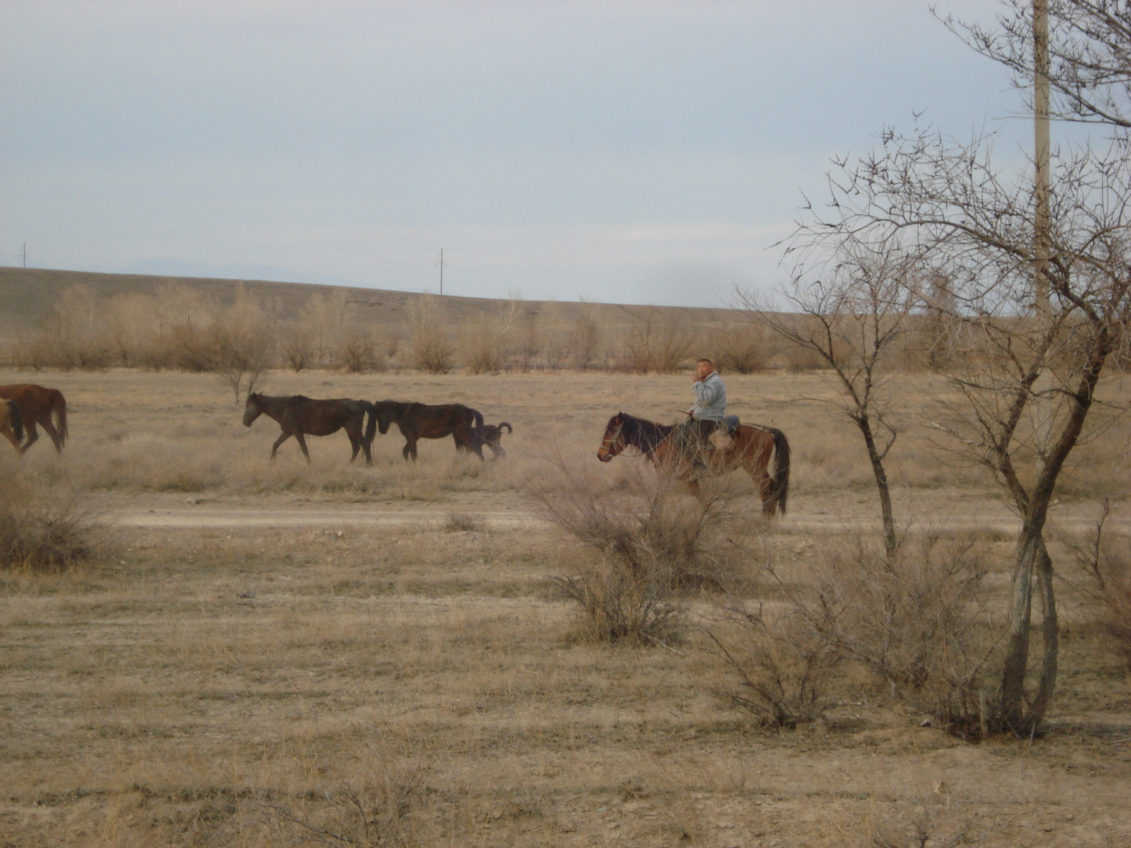照片 哈萨克斯坦(Kazakhstan) 阿拉木图至恰伦峡谷公路(Almaty to Charyn Canyon road) 2007-03 81