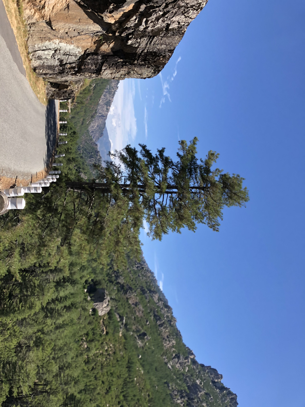 照片 法国(France) 科西嘉岛(Corsica) 雷斯托尼卡山谷(La Restonica) 2020-07 4