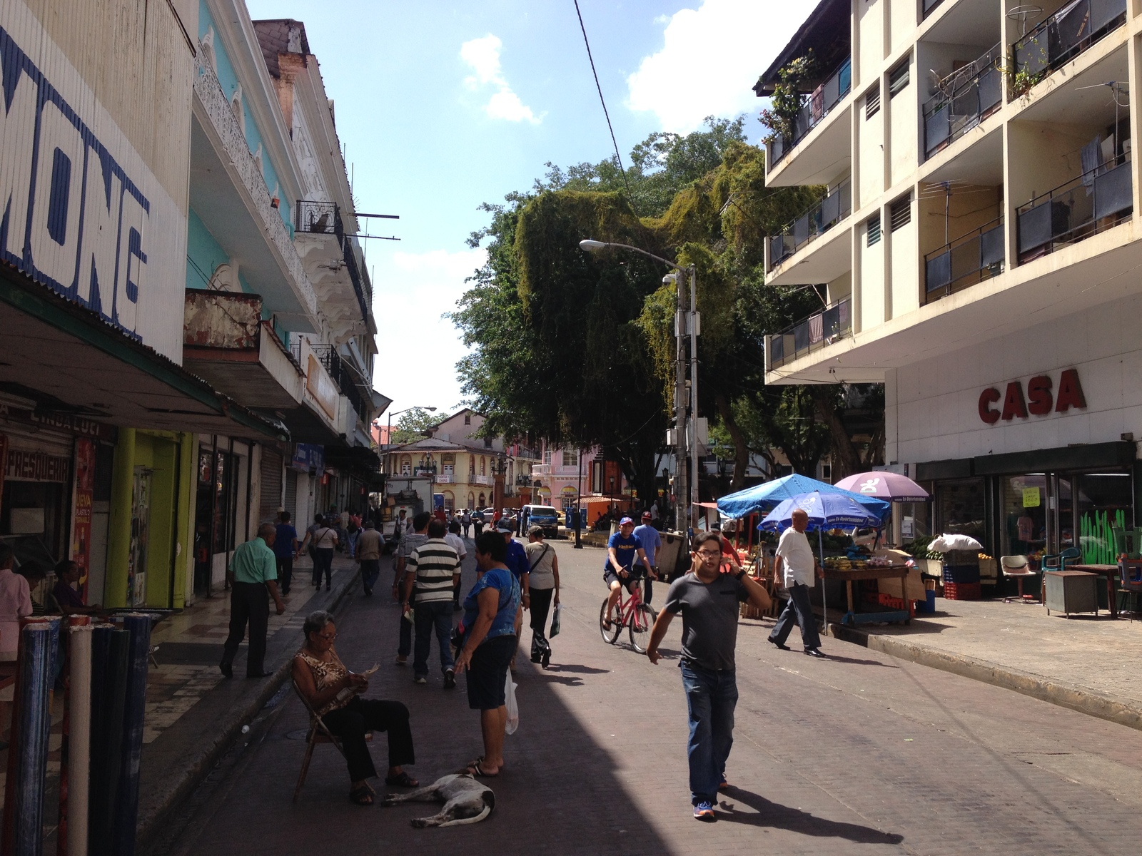 照片 巴拿马(Panama) 巴拿马城(Panama City) 2015-03 9