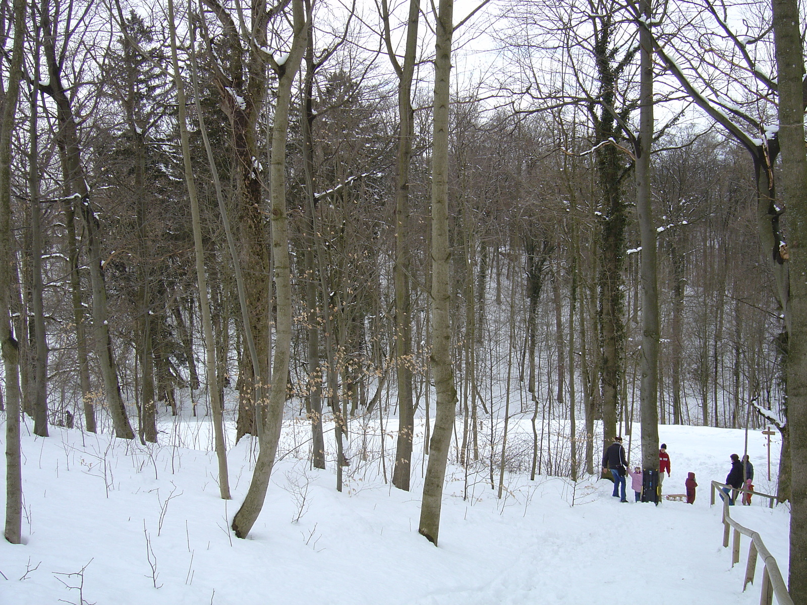 照片 德国(Germany) 兰茨胡特(Landshut) 2005-03 5