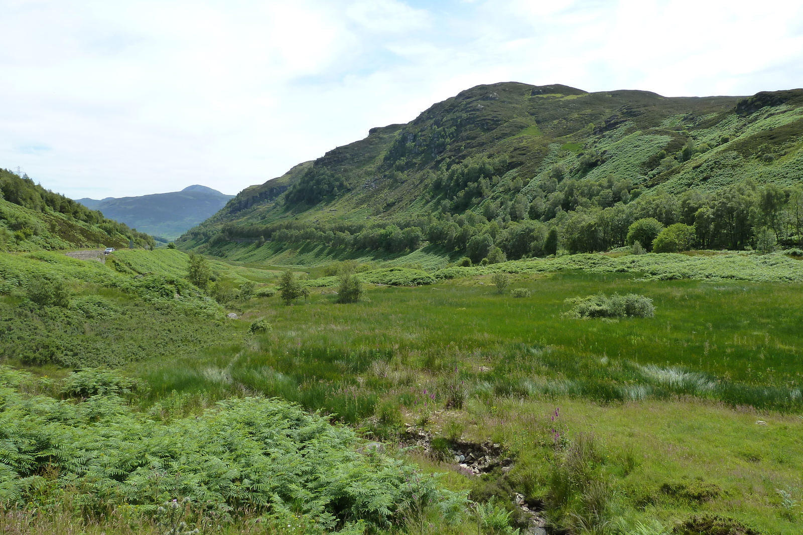 照片 英国(United Kingdom) 特罗萨克斯(The Trossachs) 2011-07 73