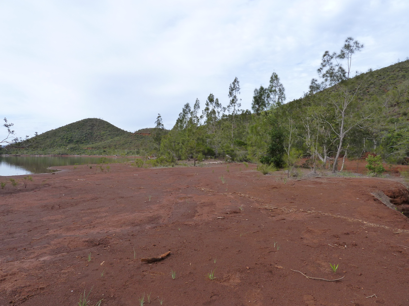 照片 新喀里多尼亚(New Caledonia) 蓝河公园(Parc de la Riviere Bleue) 2010-05 149