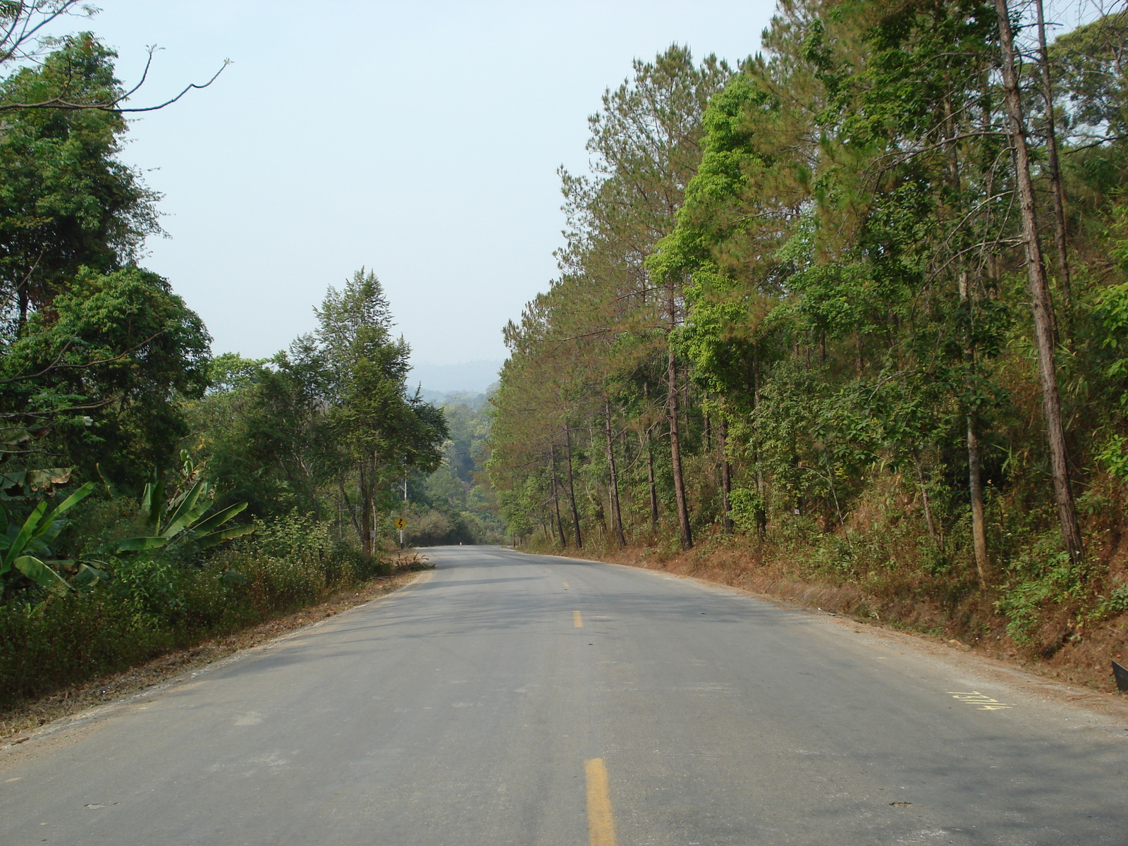 照片 泰国(Thailand) 清迈至拜县公路(Chiang Mai to Pai road) 2007-02 76